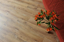 Кварцвиниловые полы Ecoclick Rich клеевой 2.5мм NOX-2059 Дуб Марракеш фото 1 | FLOORDEALER